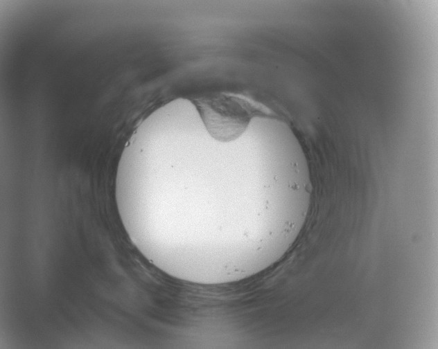 X0000066120672200603311537