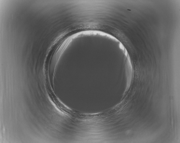 X0000066120674200603311536