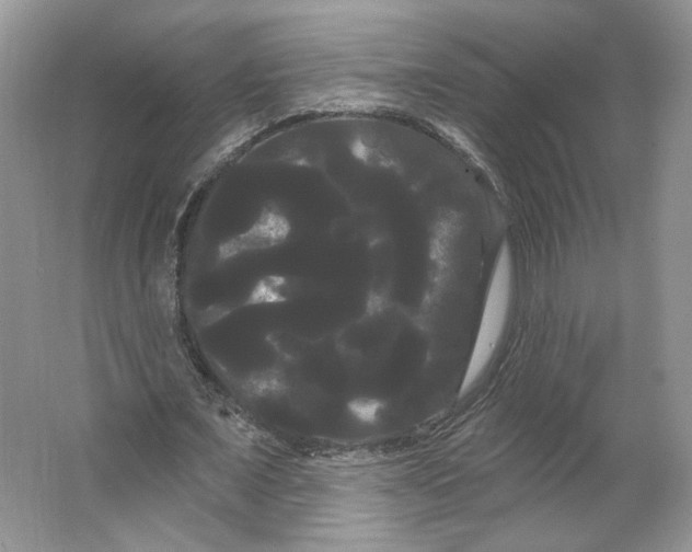 X0000066120675200603311536