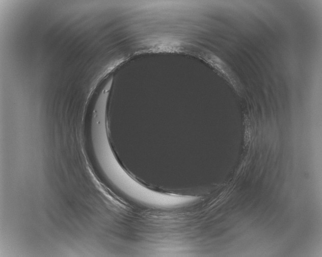 X0000066120677200603311536