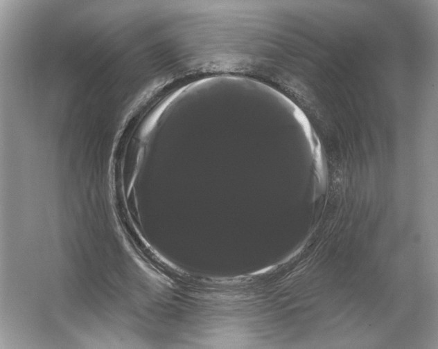 X0000066120678200603311536