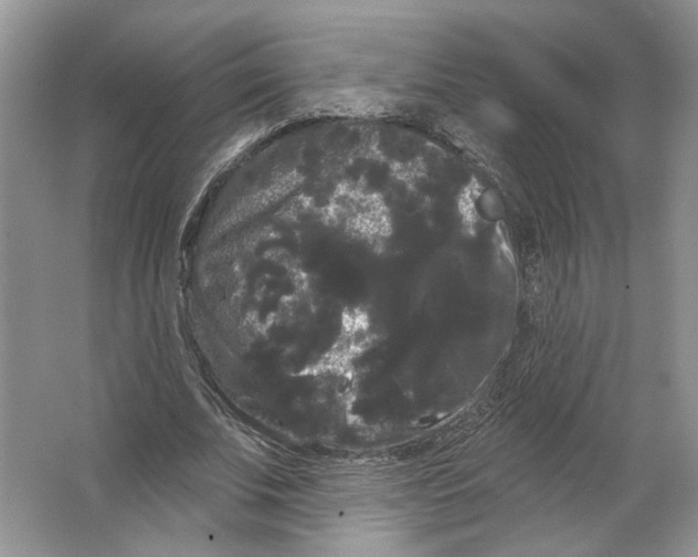 X0000066120679200603311536