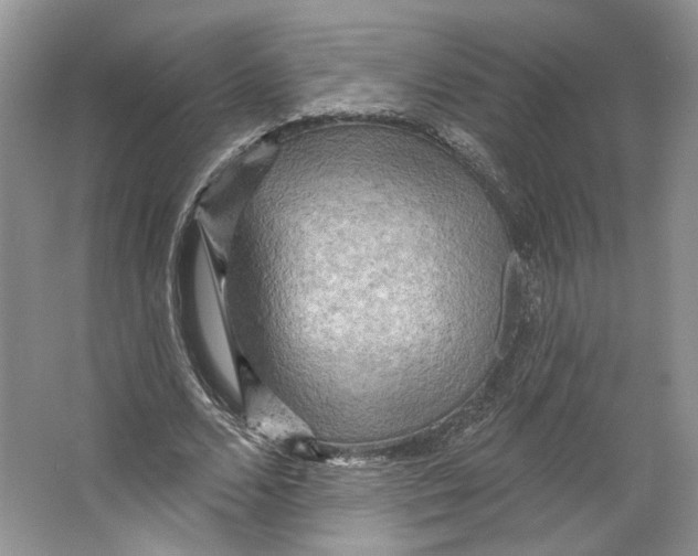 X0000066120680200603311536