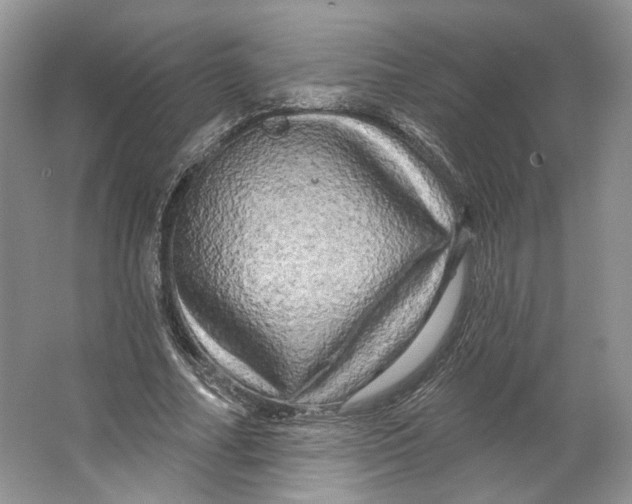 X0000066120682200603311536