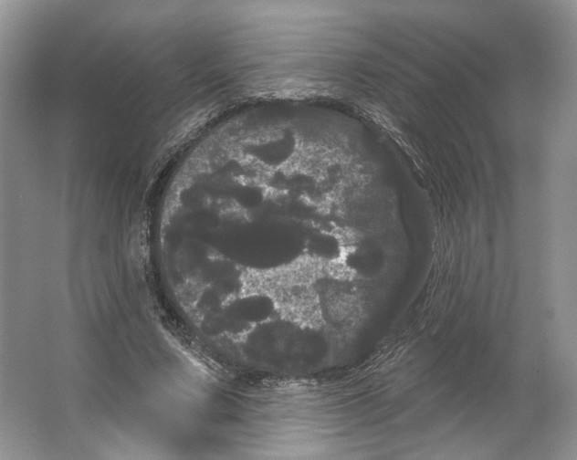 X0000066120683200603311536