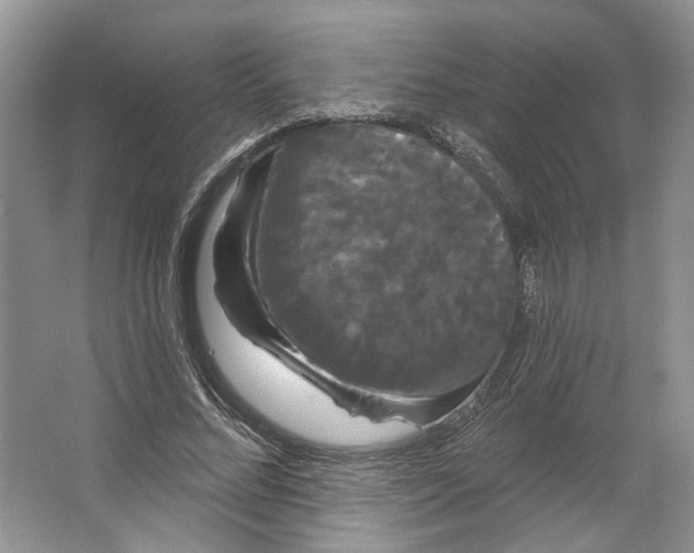 X0000066120684200603311536