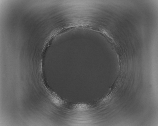 X0000066120685200603311536