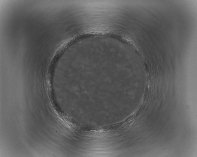 X0000066120688200603311536