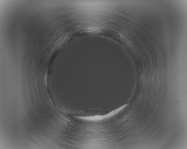 X0000066120689200603311536