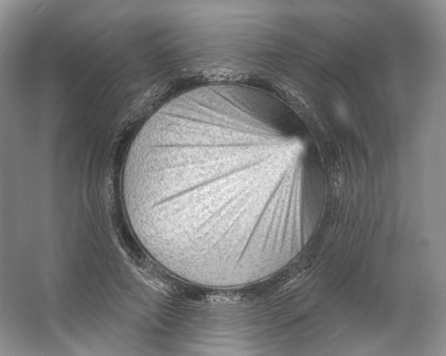 X0000066120690200603311536