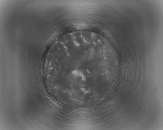 X0000066120691200603311536