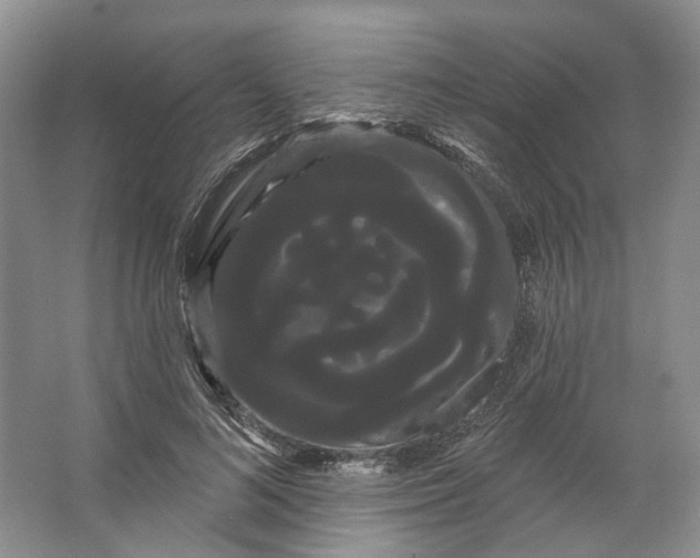 X0000066120692200603311536