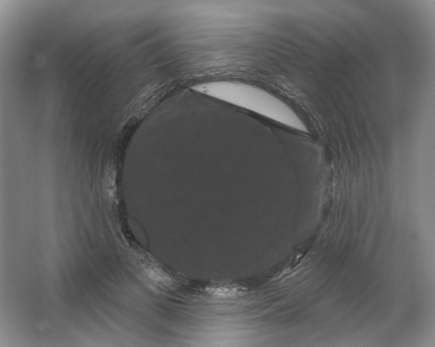 X0000066120693200603311536