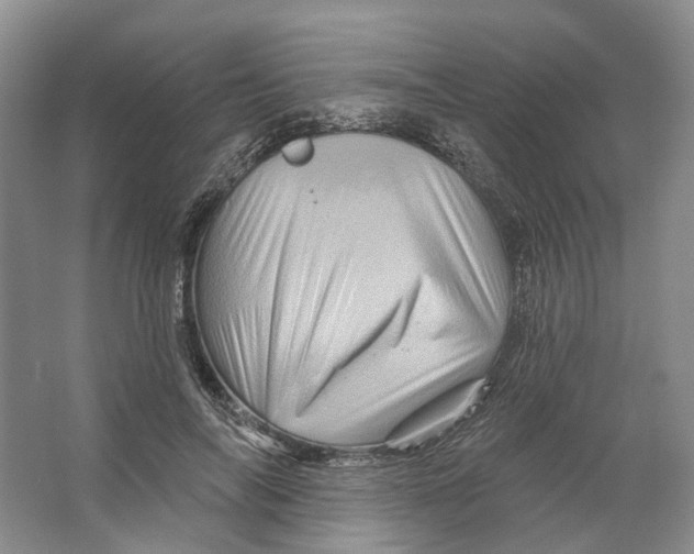 X0000066120694200603311536