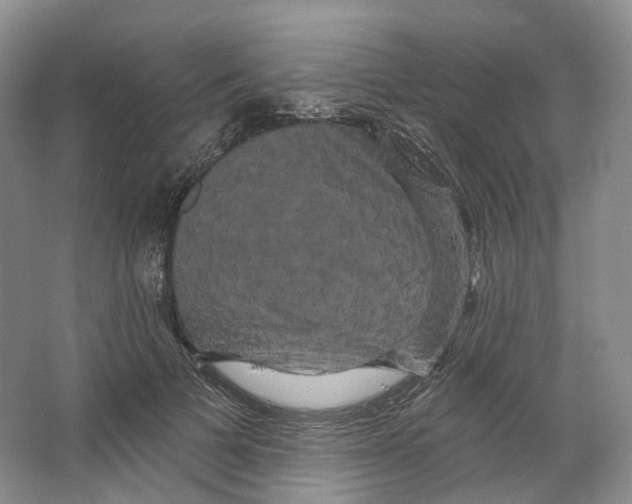 X0000066120697200603311536