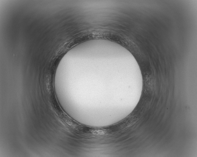 X0000066120698200603311536