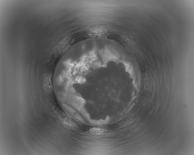 X0000066120699200603311536