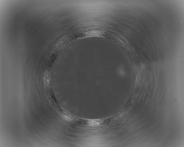 X0000066120701200603311536