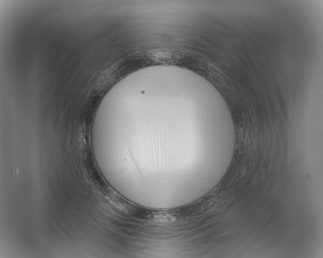 X0000066120702200603311536