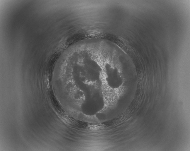 X0000066120703200603311536