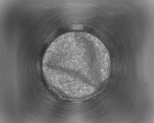 X0000066120704200603311536