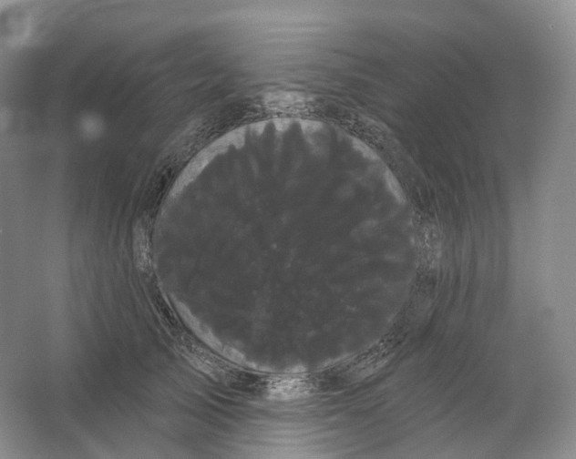 X0000066120705200603311536