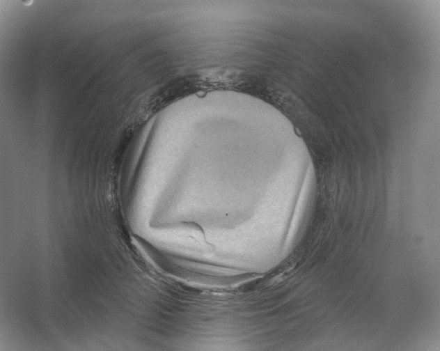 X0000066120706200603311536