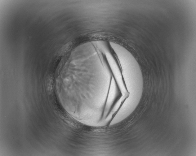 X0000066120708200603311536