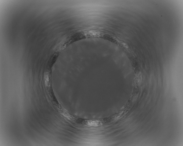 X0000066120709200603311536