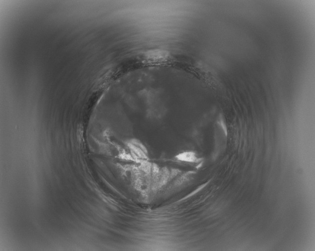 X0000066120711200603311536