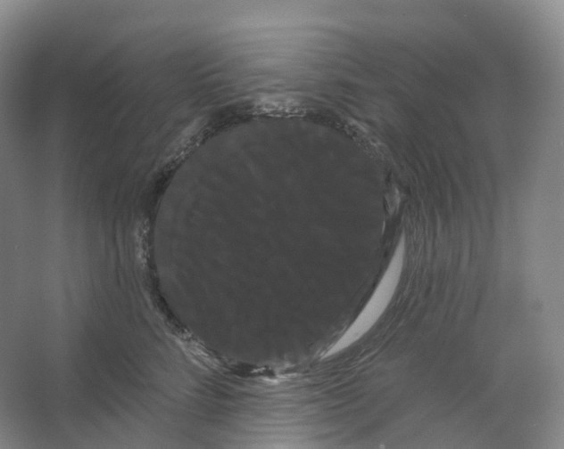 X0000066120712200603311536