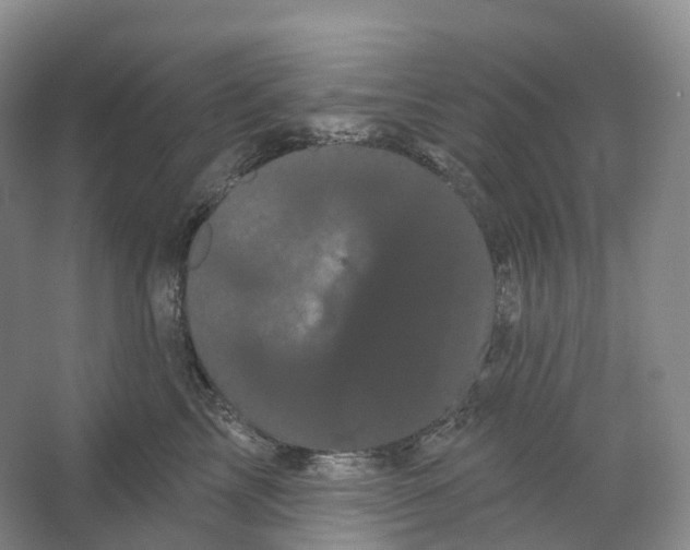 X0000066120713200603311536