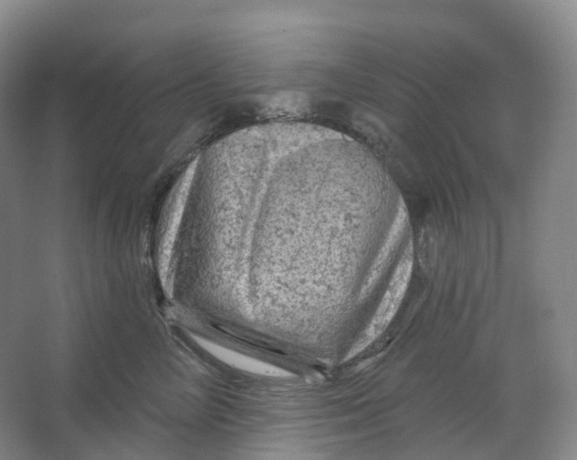 X0000066120714200603311536