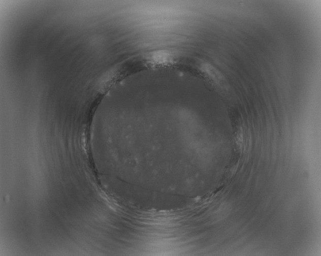 X0000066120715200603311536