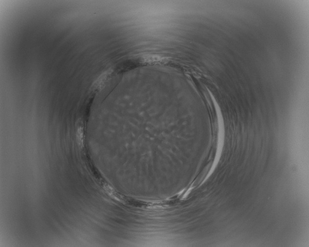 X0000066120716200603311535