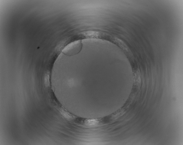 X0000066120717200603311535