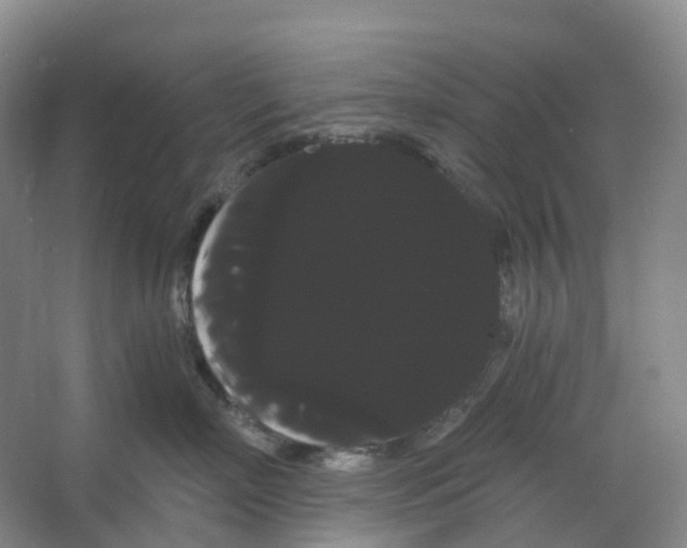 X0000066120718200603311535