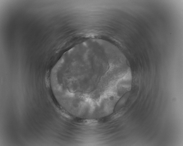 X0000066120719200603311535