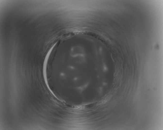 X0000066120720200603311535