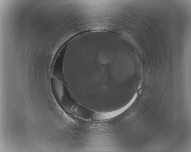 X0000066120721200603311535