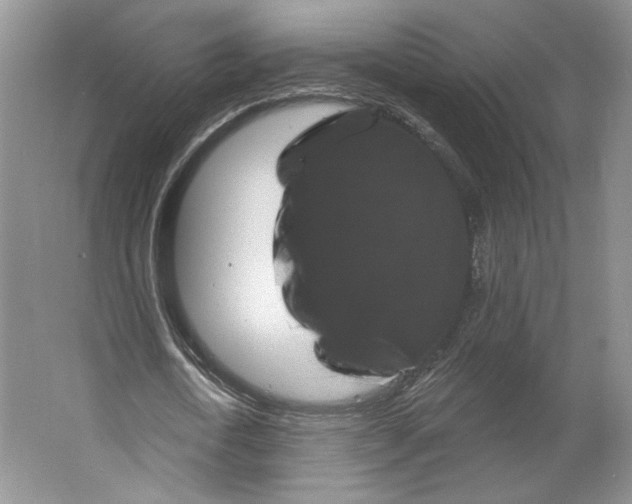 X0000066120722200603311535