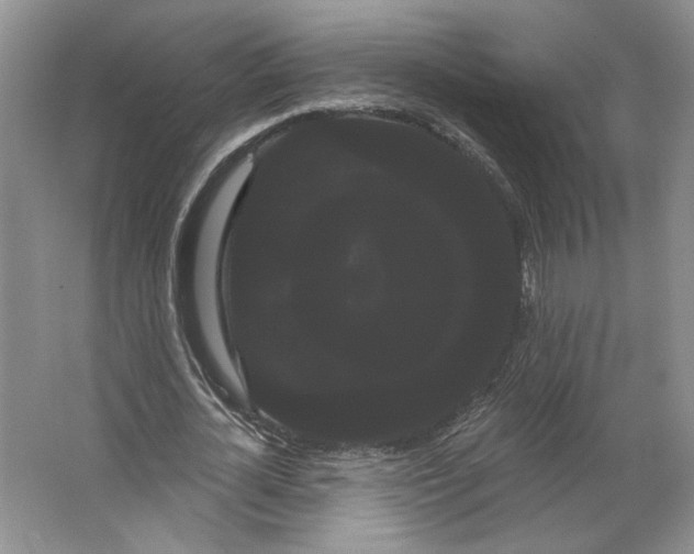 X0000066120724200603311535