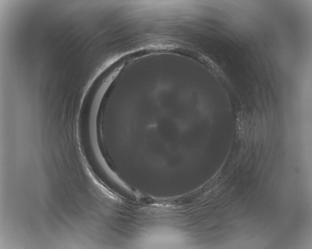 X0000066120726200603311535