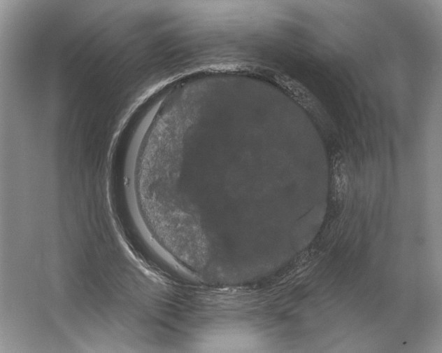 X0000066120728200603311535