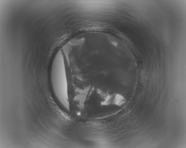 X0000066120729200603311535