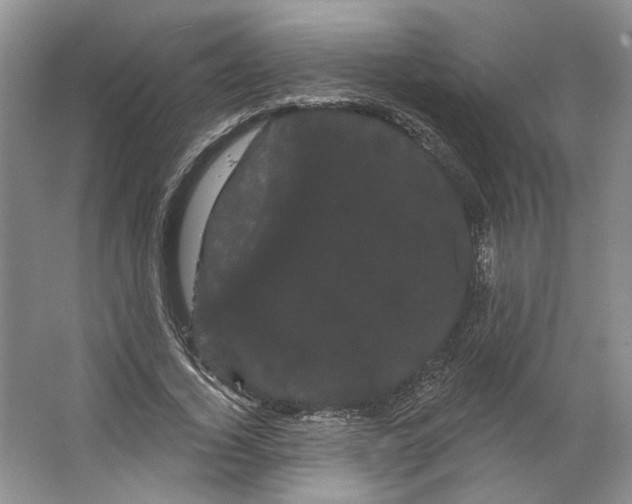 X0000066120732200603311535