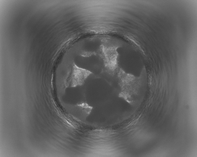 X0000066120733200603311535