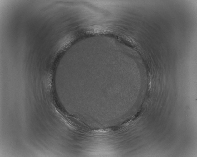 X0000066120735200603311535