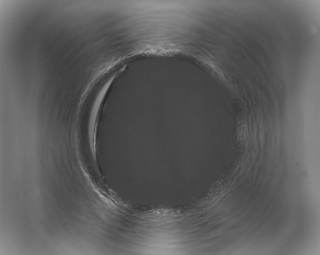 X0000066120736200603311535