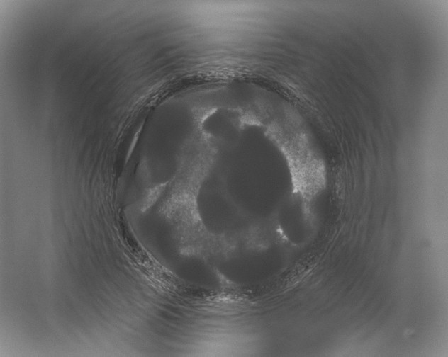 X0000066120737200603311535